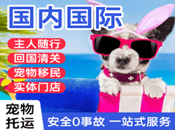 郑州航空空运国际宠物托运 【国